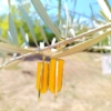 SIMPLE - tűzzománc fülbevaló Napsárga - Thumbnail Image 2